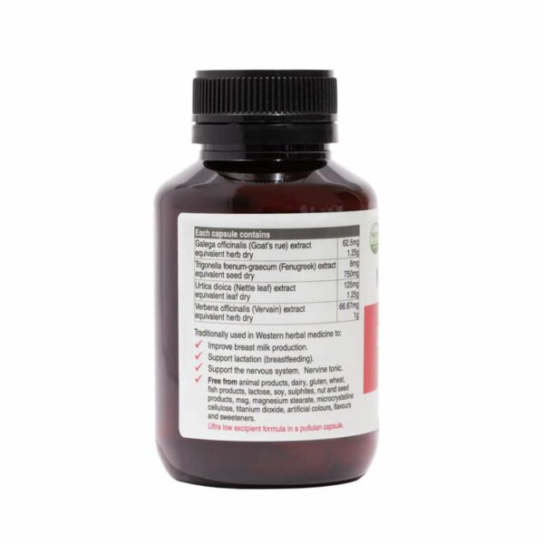 Naturobest Lactation Support Info
